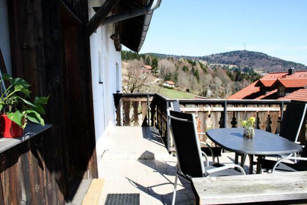 Ferienwohnung Auf Dem Erlebnisreiterhof Kreipl Grattersdorf Bagian luar foto