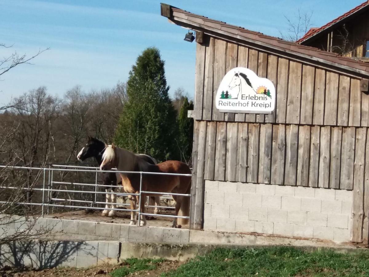 Ferienwohnung Auf Dem Erlebnisreiterhof Kreipl Grattersdorf Bagian luar foto